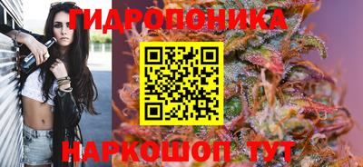 бошки Заводоуковск