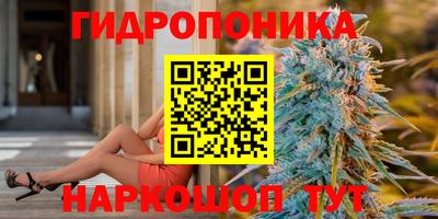бошки Заводоуковск